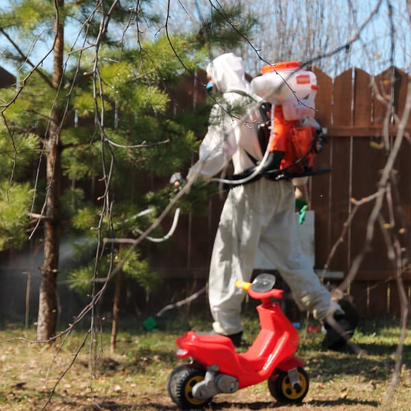 Обработка участка от клещей в Чите?